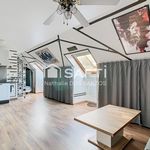 Beau studio de 30m² (36m² au sol) avec espace chambre - PARFAIT ETAT