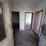 Old rural property with quiet location and access to two streets situated in the outskirts of a big village near river 50 km northeast of Vratsa, Bulgaria