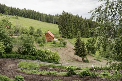 Приятного вам отдыха в окружении природы на крупнейший племенной берберских лошадей в Германии и Австрии в удобной экологической деревянный дом с качественной мебелью. В коттедже на срок до 11 человек расположен на высоте 1250 метров в месте, в окруж...