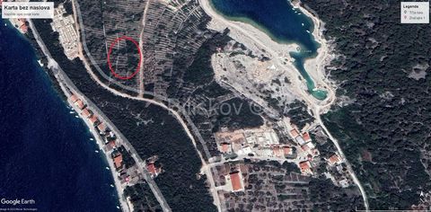 Povlja, Brač - building plot of 2640m2 is located in a mixed residential area near the Tičja luka beach.The possibility of building residential and commercial buildings.All infrastructure is nearby. www.biliskov.com  ID: 12253-1