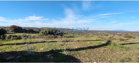 Rustic land with an area of 11680 m2 in Barão de São Miguel, well located in a quiet area and easy access by road. It is not buildable, but it has great potential for agricultural production. There is the possibility of connection to the electrical g...