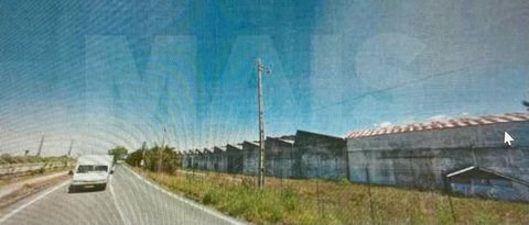 Land of almost 24,000m2 in Cartaxo with 11,000m2 of built warehouses, offices, manufacturing area and car park. In this land is authorized the construction of 20.000m2 of industrial structure. Investment opportunity in a future growth area
