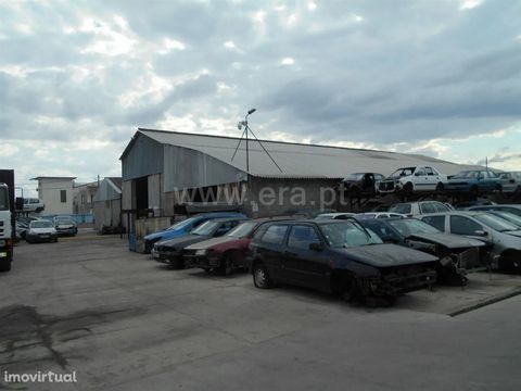 Warehouse inserted in a land with an area of 7000m2, with a deployment area of 1278.70m2, and a gross area of 1379.90m2, with annexes and patio. Excluded from the SCE, under Article 4 of Decree-Law No. 118/2013 of 20 August.