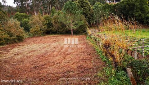 Land with 1490 m2 for sale in Argela, Caminha. Good access and sun exposure. Ref.: C02248 ENTREPORTAS Founded in 2004, the ENTREPORTAS group with more than 15 years, is a leader in real estate mediation in the markets in which it operates, offering a...
