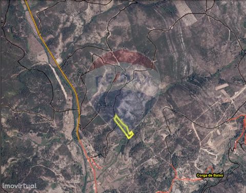 Land for sale at 1 600 € Rustic land with 4760 m2, composed of pine forest and arable culture. Located in Casal Fundeiro, municipality of Mação. Site with stunning natural landscapes and several river beaches. Do not waste time schedule your visit no...