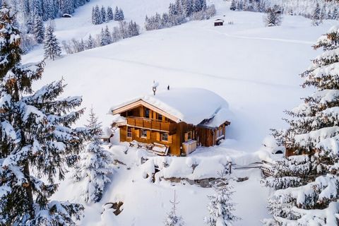 De gezellige Hütte Stiermoos is de ideale plek voor ontspanning, rust en gezelligheid, maar ook voor tal van activiteiten in zomer en winter. De accommodatie is volledig uitgerust met een moderne keuken met een oven, kookgelegenheid, magnetron, een r...