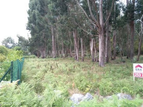 Construction site with area of 3,300 m2; Good access; Excellent location