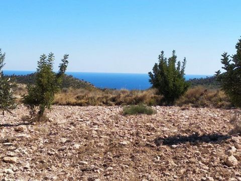 ✓Rustic Plot in Relleu of 40,000 m2 with Sea Views. Large terraces, planted with almond trees, olive trees (about 250), carob trees etc. near Villajoyosa and Benidorm, for sale Rustic plot (Costa blanca, country land, see views) of 40,000 m2, practic...