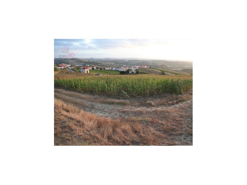 Located in Varatojo, municipality of Torres Vedras we find this rustic land with 5120 m2. Land with project for senior residence with implantation area of 1363 m2, construction area of 2390 m2. This project includes 12 double rooms and 13 single room...