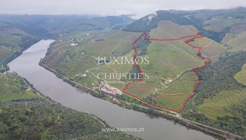 Wineestate for sale in the Alto Douro Vinhateiro - Douro Valley , located next to Pinhão , in Gouvães do Douro, the heart of the Douro Demarcated Region, at the top of the Corgo. Surrounded by other renowned quintas of the Douro, this one boasts a di...