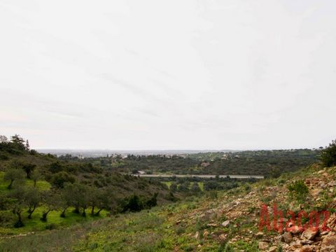 This plot of 5000m2 is rural land which is in Zambujal - Boliqueime, 2.5 km from the centre of Boliqueime with sea views. Additional Information: It is located in a quiet area with easy access via a tarmac road. This plot has unobstructed views of th...