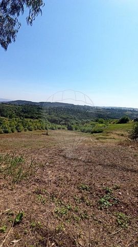 Description House with winery and land of 6634m² with two wells. 3 minutes from the A8 you will be 25 minutes from Foz do Arelho Beach, 15 minutes from Caldas Da Rainha and 1 hour from the Lisbon airport. Villa with a lot of potential to transform in...