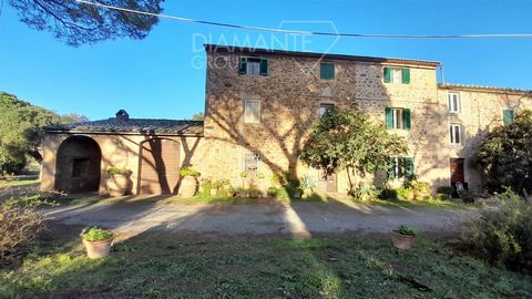 Roccastrada (GR), Surroundings: Wine-growing and agritourism company with 72 hectares of land, vineyard, farmhouse, cellar and annexes divided as follows: - approx. 18 hectares of Sangiovese, Cabernet, Viogner, Trebbiano Toscano, Ciliegiolo, Malvasia...