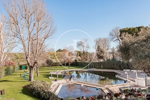 163 sqm refurbished flat with a 10sqm Terrace and views in Alameda de Osuna, Barajas.The property has 4 bedrooms, 2 bathrooms, swimming pool, 2 parking spaces, air conditioning, fitted wardrobes, laundry room, balcony, garden, heating and concierge. ...