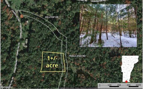 Ce terrain de 1+/- acre de résineux offre une topographie plane et un cadre paisible sur un chemin privé à Whitingham, VT. Situé près de la limite est de la forêt nationale de Green Mountain, les montagnes, le réservoir Harriman à proximité (le deuxi...