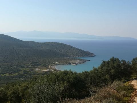 Located in Ierapetra. Seaview building plot, 4697 m2 in size, on the slope of the hill above the Beach of Tholos, North-East Crete. The land enjoys very nice panoramic views of the sea of the Mirabello Bay, the Kavousi valley and the beach in front o...