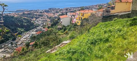 Located in Funchal. Excellent plot of land with 570 M2, ideal for the construction of a detached family villa overlooking the bay of Funchal and with very good sun exposure. Located in a place in constant appreciation, with good access, about 10 minu...