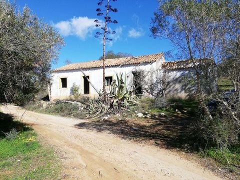 Property with 16205 sqm land with a old house . Quiet área , only 1 km from Ferreiras village . Good investiment.