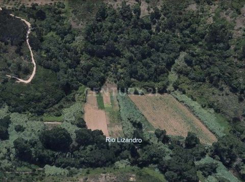 Thank you for visiting! In Mato do Carrasco, on the edge of Serrados in Cheleiros, you'll find these two plots of land, one of 7,375.00 m2 and the other of 562.00 m2, both for planting vines and next to the River Lizandro. There's a path that you can...