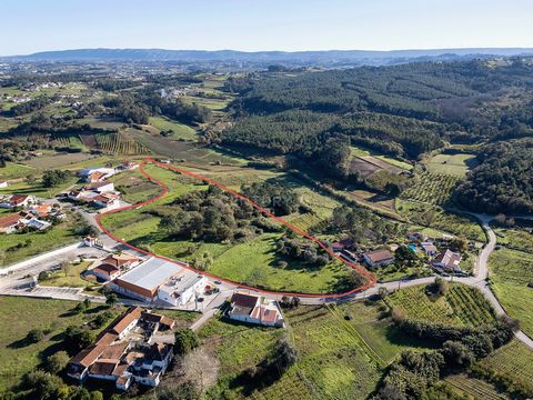 Outstanding land located in Junqueria, Alcobaça with numerous potentials! With an area of 14,129.75 m2, partially urban, set in gently sloping terrain, excellent sun exposure, and a clear view of the Gaio forest! In addition to this, the land feature...