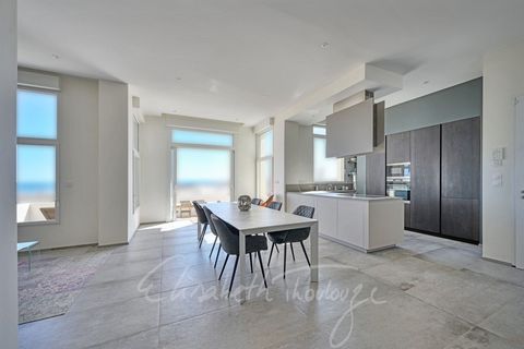 Dpt Hérault (34), à vendre CARNON PLAGE appartement T4 de 136 m²