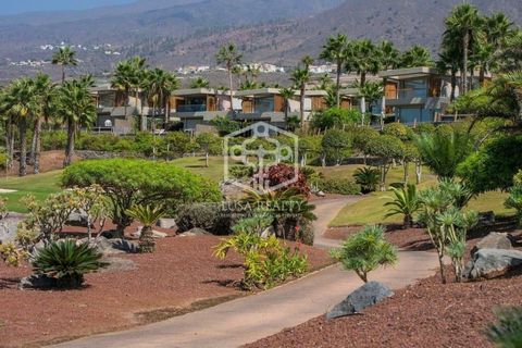 Für alle, die die Herausforderung lieben, von Grund auf neu zu bauen. Wir stellen die Custom Villas vor, luxuriöse Grundstücke im Abama Resort, die einen spektakulären Blick auf den Atlantik, den Golfplatz und die Insel La Gomera bieten. Eigentümer u...