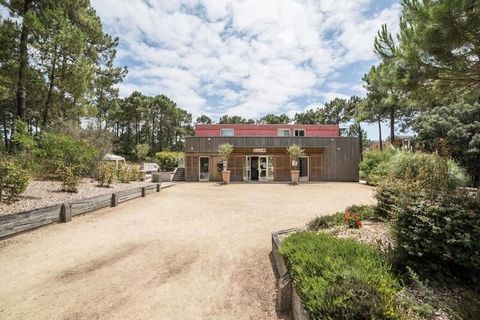 Kom en beleef een aangenaam verblijf in de residentie Les Grands Pins. U vindt vakantiehuizen in Carcans-Maubuisson, in het hart van het dennenbos van de Médoc. Onze appartementen zijn ideaal gelegen voor een vakantie met familie of vrienden. Deze re...