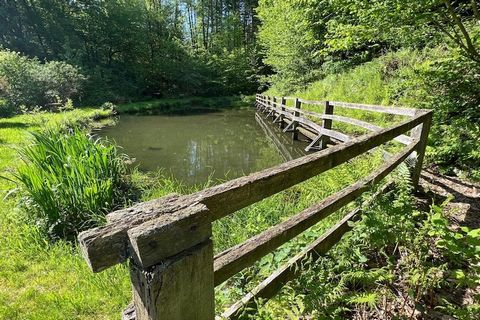 Situada en plena naturaleza, esta finca te aportará toda la calma y privacidad que buscas. El entorno es excepcional: la finca cuenta con un auténtico molino de agua del siglo XVIII, tiene una agradable terraza y está atravesada por un pequeño arroyo...