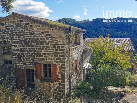 On the lower part of the commune of Saint-André (07230), 15min from Joyeuse and 10min from Lablachère, hamlet house forming a tenement with views, tastefully restored with quality materials. *** Nederlands gesproken. We speak English. Ein bisschen De...