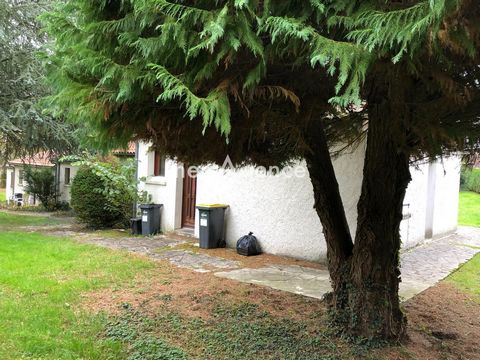 photo no. 1