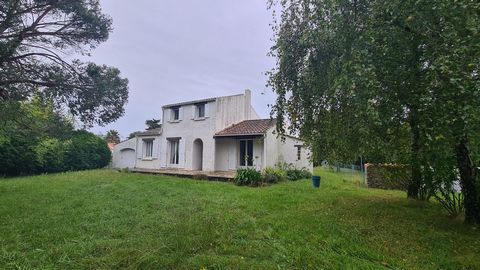 photo no. 5