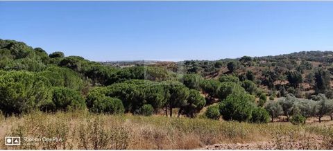 Alentejo hill partially fenced with stream, spring and well. Construction feasibility of 14400m2 for Tourism in Rural Areas (Country Houses, Agritourism and Rural Hotel), 8000m2 for agricultural dependence. The land consists mainly of cork oak and ol...