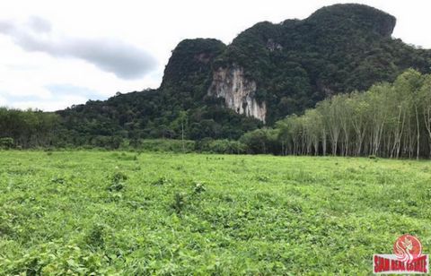 Over 16,000 sqm of land is for sale in the Nong Thaley area of Krabi. (10-1-89 Rai) The land is situated in the suburbs and surrounded by mountains. This is a big land plot and can be used for many purposes such as development, agriculture or divided...