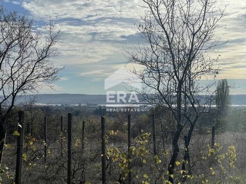 ERA Varna Trend biedt een gereguleerd stuk grond te koop aan met een oppervlakte van 977 m², gelegen in het Mentesheto-gebied, in de buurt van het district Varna. Vladislavovo, 350 m van de hoofdweg. Het perceel is hoekig, met uitzicht op de weg 45 m...