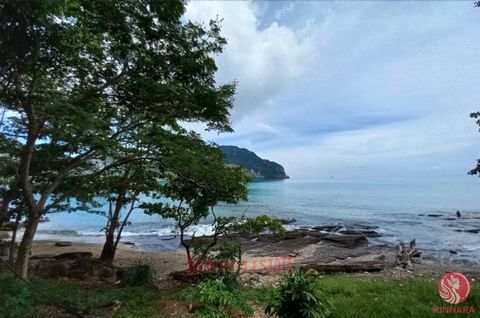 Imagine waking up to the gentle sound of waves and breathtaking views of your very own private beach. This stunning 49 Rai (79,696 sqm) plot offers the perfect canvas for your dream development in one of the hottest spots in the Phi Phi Islands, Krab...