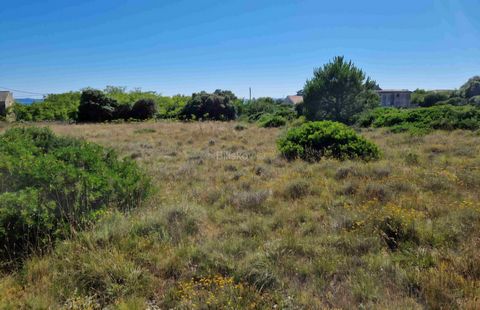 www.biliskov.com ID: 14943Vir, ToroviBuilding land with a total area of 1,337 m², rectangular in shape, is for sale in the settlement of Torovi on the island of Vir.The land is located in a quiet and well-maintained part of the settlement, surrounded...