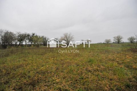 photo no. 2