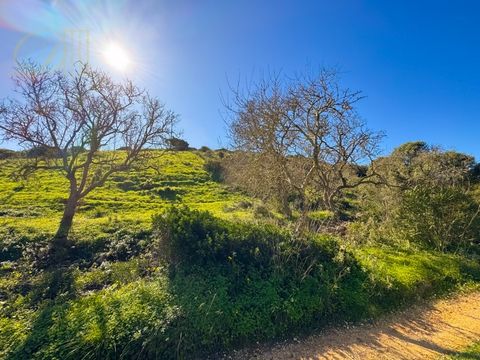 Deal Homes présente, Beau terrain rural de 9 200 m2, avec un bon accès et à seulement 500 m de la route goudronnée. Composé de zones plates et de zones en pente, il bénéficie d'une magnifique vue sur la nature environnante. Avec un poteau électrique ...