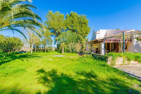 Le jardin de cette maison est un véritable paradis naturel qui se démarque à cause de sa luxuriance, de sa beauté et de sa vie. Tout moment devient le parfait à revendiquer dans les rayons du soleil tout en prenant le petit déjeuner que vous pourrez ...