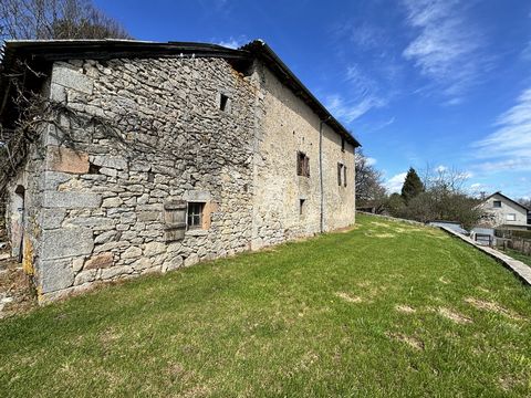 photo no. 4