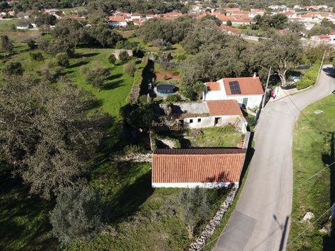 Willkommen in einer rustikalen Villa in idyllischer Lage in Alcobaça. Dieses charmante Bauernhaus mit zwei Schlafzimmern und einem einzigen Badezimmer bietet eine Gesamtfläche von 322 m², einschließlich einer Villa mit 3 Schlafzimmern auf einem große...