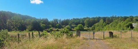 CREUTZWALD -ZONE INDUSTRIELLE- terrain - 12818 m²