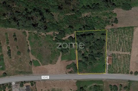 Property ID: ZMPT551254 In a privileged geographical location with excellent road access, this land may have more than one purpose. It allows construction of housing with plenty of surrounding space and also allows the construction of two or four vil...