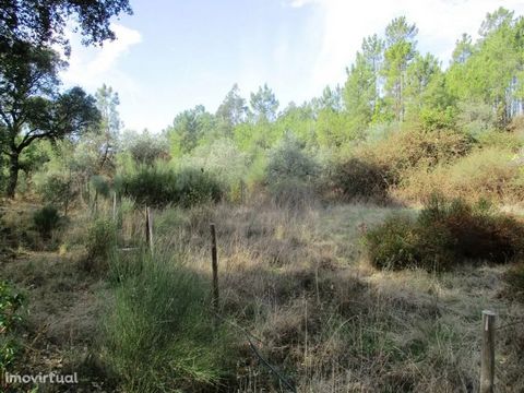 Small farm with 5120m2 of land in Sobral do Campo. In this, there are two buildings of agricultural support, a stone well with cement opening and a hole. The land has several cork oaks and pines, fruit trees and olive trees. Good for cultivation. Sea...