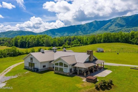 Live at the base of the mountain! 19.67 Acres surrounded by the Great Smoky Mountains, Equestrian's dream with open plan, 2/3 Bedrooms, 3 Baths, upper level apartment w/full kitchen, pine tongue and groove ceilings, quartz, granite, hardwood, 2 car m...