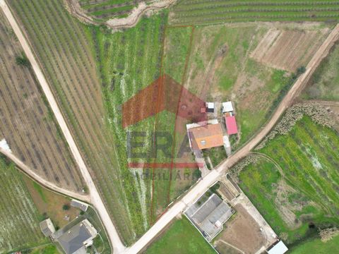 Building land located in Bombarral. With 12 meters in front and 700sq.M in areas of expansion of urban agglomerations. 10 minutes from the town of Bombarral and access to the A8 and the town of Óbidos and about twenty-five minutes from the beaches of...