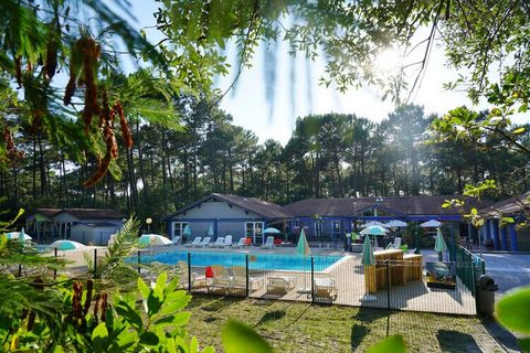 In the heart of a pine forest, just 1.5 km from the Atlantic, lies this holiday complex with a communal pool. The complex includes 108 wooden holiday homes, each with its own terrace. In addition to the pool, the complex offers other leisure faciliti...