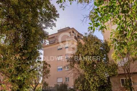 Via Nomentana - in the most commercial part of the neighborhood, a few steps from Villa Leopardi and the headquarters of the Luiss University, within the Villa Speranza residential complex with concierge service, we are pleased to offer for sale an e...