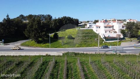 Lote terreno com 507 m2, para a construção em Gibraltar - Ponte do Rol - Torres Vedras , com viabilidade de construir uma moradia de tipologia T4/T5, área Maxima de Construção de 275m2 com cave (75m2) e dois pisos . Situado a 7 min de Torres Vedras (...