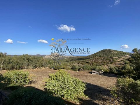 Rare - Property of about 2.5 hectares located in the village of CASTA, in the desert of Agriates just 15min from Saint Florent, and very close to the access to the track leading to the beautiful beach of SALECCIA. This villa consists of a fitted and ...